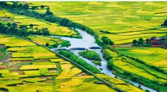 福建7地入选“中国森林氧吧”，分别是哪7个？