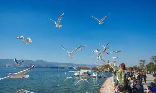 昆明十大旅游必去景点有哪些？