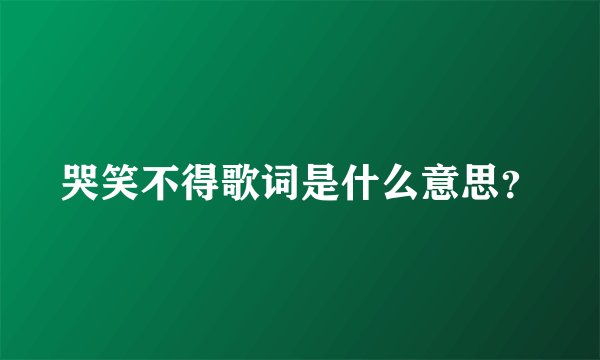 哭笑不得歌词是什么意思？