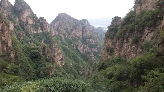 崇组词，崇字组词，带崇字的成语