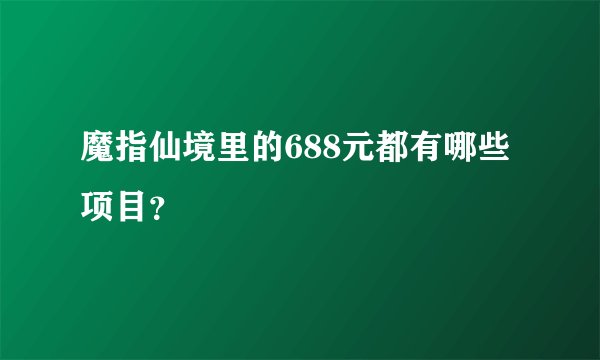 魔指仙境里的688元都有哪些项目？