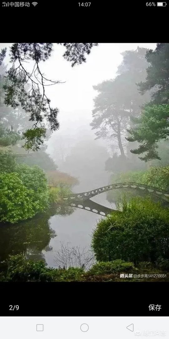 你觉得玉林这座城市怎么样？