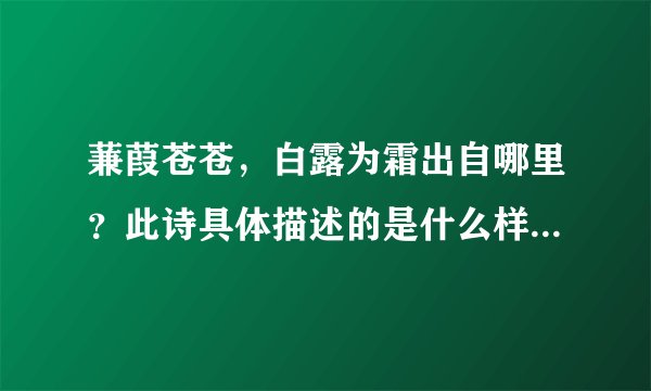 蒹葭苍苍，白露为霜出自哪里？此诗具体描述的是什么样的场景呢？
