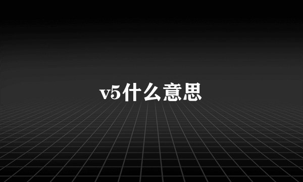 v5什么意思