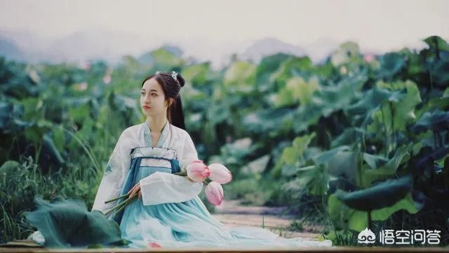 莲叶何田田的意思是什么