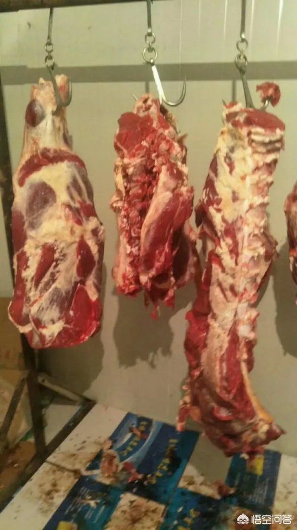 牛肉摊利润多少