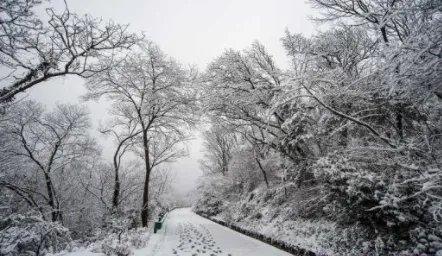 忽如一夜春风来，千树万树梨花开。是什么意思？