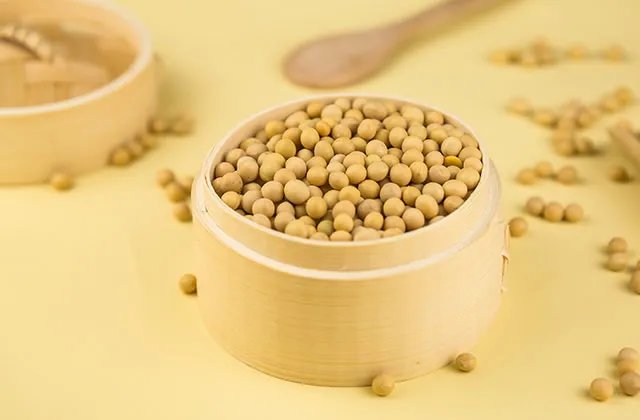 小黄豆和大黄豆的区别是什么 打豆浆用大黄豆还是小黄豆好