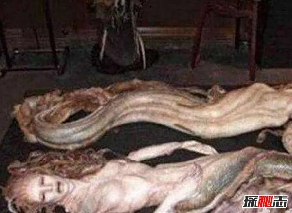 美人鱼真身吓人图片揭秘 美人鱼长相惊悚十分可怕