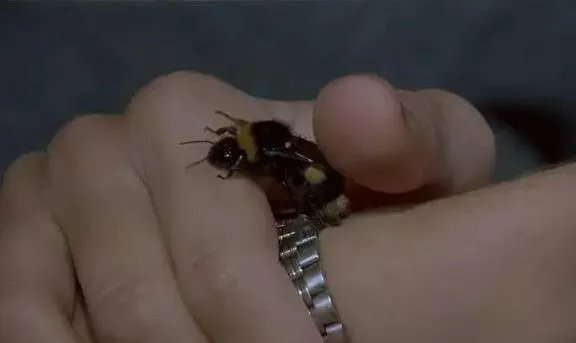 詹妮弗康纳利大尺度剧照：她滚过的床单比你洗过的都多