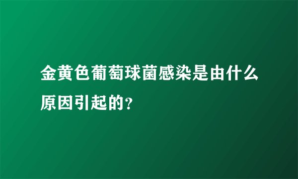 金黄色葡萄球菌感染是由什么原因引起的？