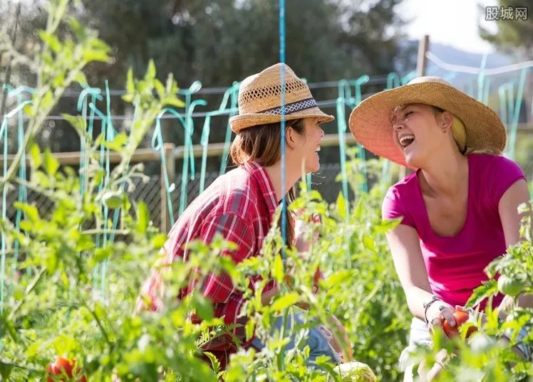 农村种植什么最赚钱 农村最有前景的种植