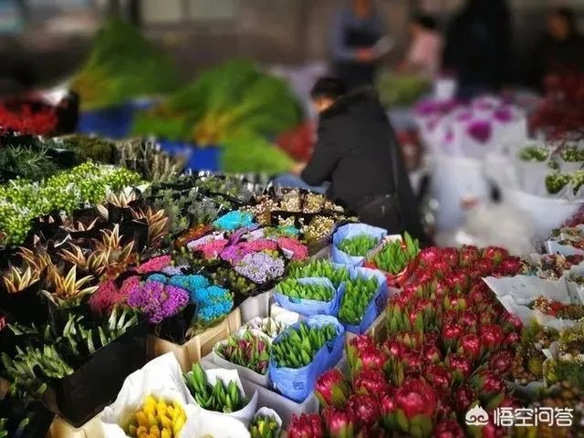 云南有哪些大的鲜花市场？