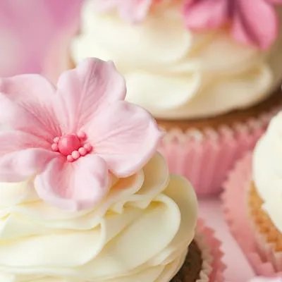 妇幼保健院:婴儿感冒的治疗