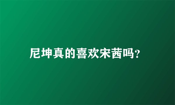 尼坤真的喜欢宋茜吗？