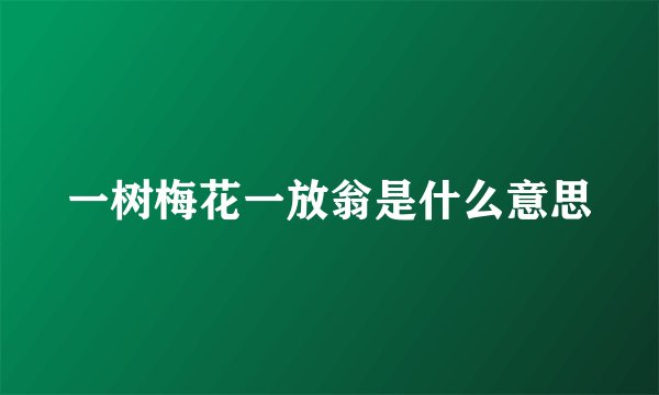 一树梅花一放翁是什么意思