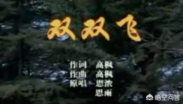 20年前一对孪生兄妹歌手思浓和思雨的近况如何?