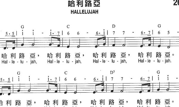 哈利路亚是什么意思？