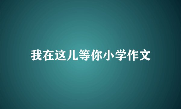 我在这儿等你小学作文