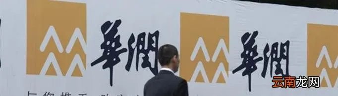 华润集团宋林最终结局是什么?