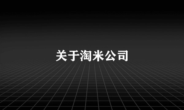 关于淘米公司