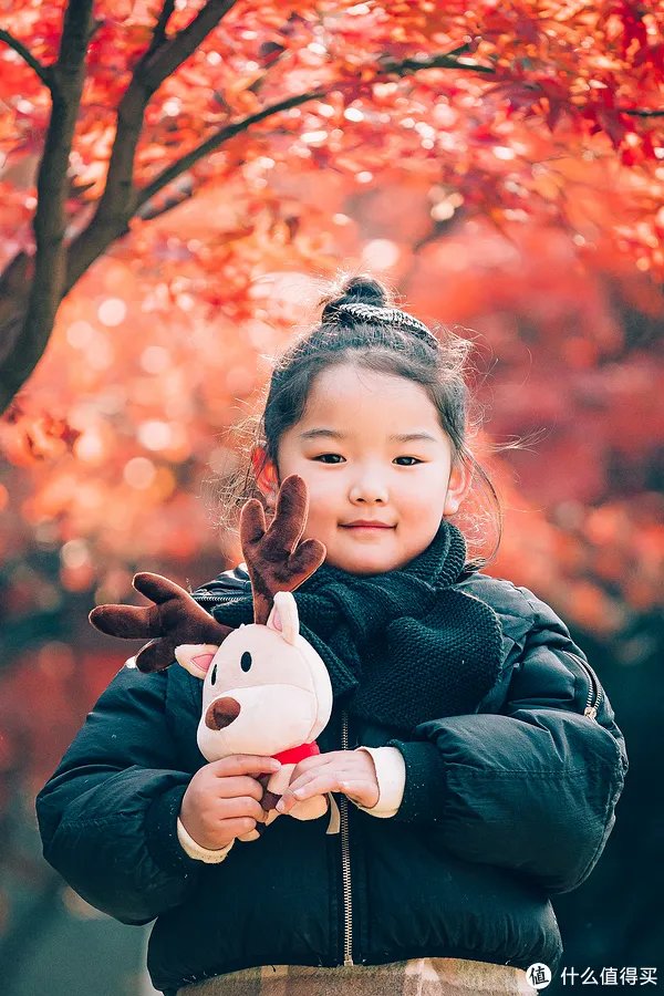 漫谈M43 篇一：M43画幅相机？这个相机体系有什么优劣？有图有真相！