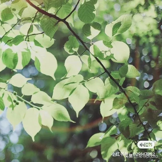 学摄影一定要参加学习班吗?选择什么形式的学习班比较合适?