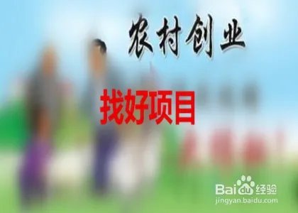 农民如何创业