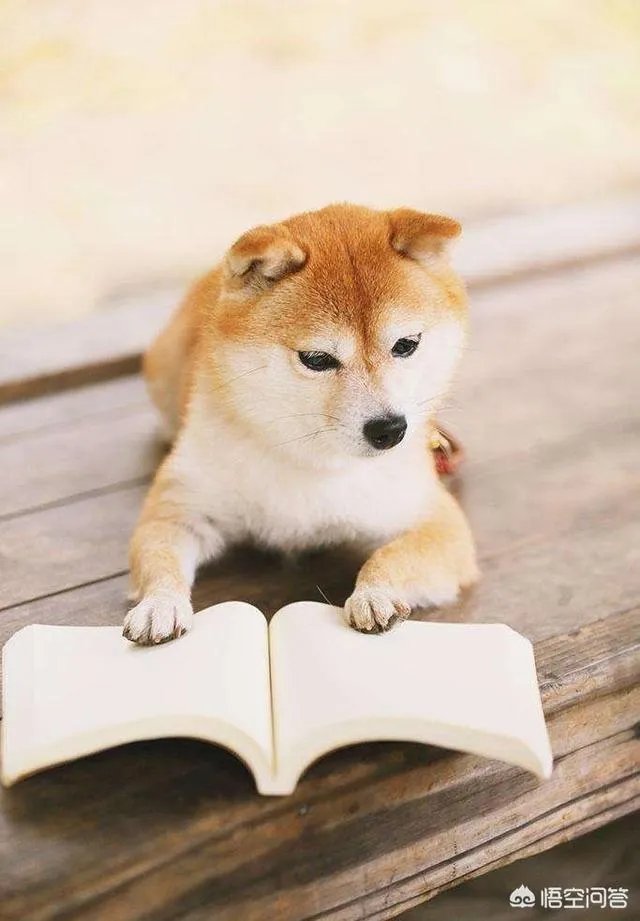 怎样才算换个活法?