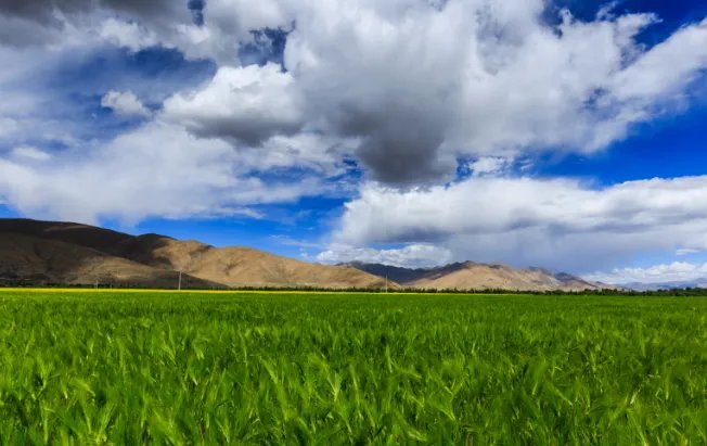 藏族的传统节日 藏族有什么节日