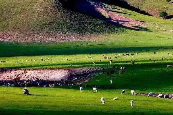 鄂尔多斯哪个草原最值得去
