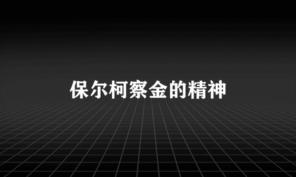 保尔柯察金的精神
