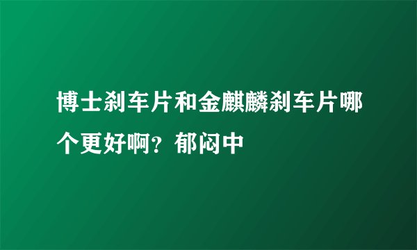 博士刹车片和金麒麟刹车片哪个更好啊?郁闷中