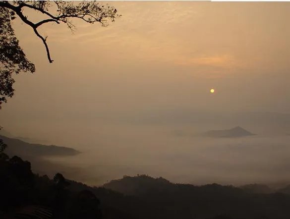 福建7地入选“中国森林氧吧”，分别是哪7个？