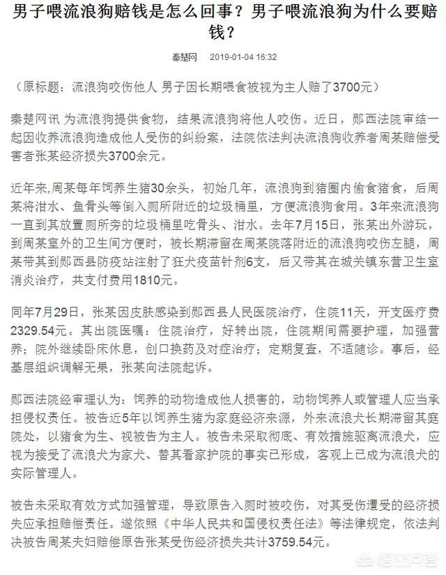 男子喂流浪狗却赔钱,这是怎么回事?