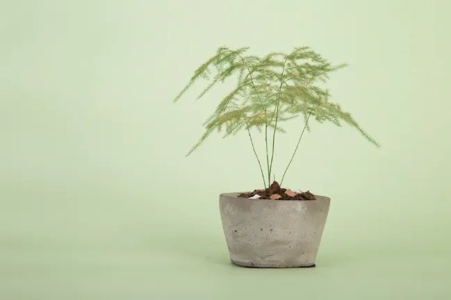 9月10日是什么节