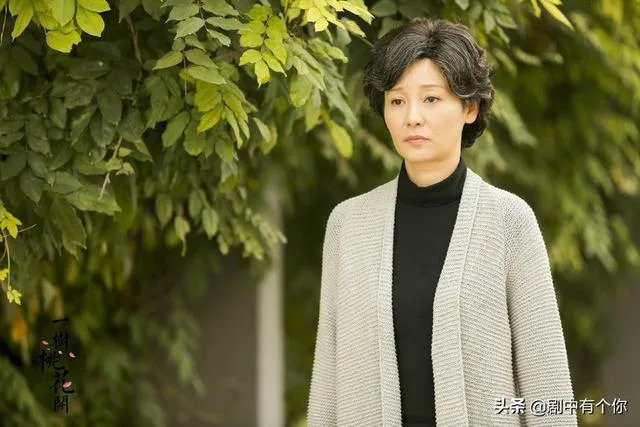 电视剧《一树桃花开》，相比盛开，为啥狄英最后能治服罗耀辉母？