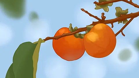 吃柿子有什么好处及坏处