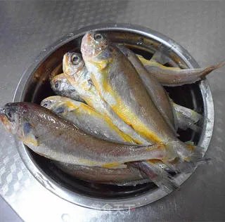 红烧小黄鱼