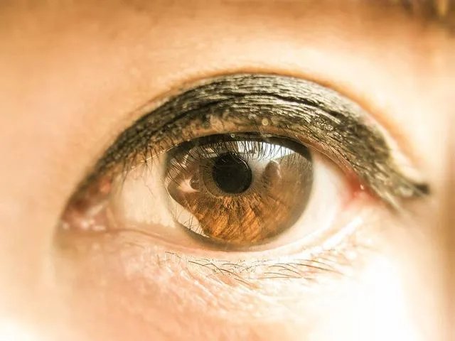 读书器与手机读书区别