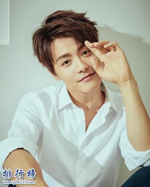 中国男明星十大帅哥(排名不分先后)