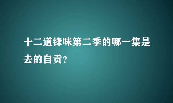 十二道锋味第二季的哪一集是去的自贡？