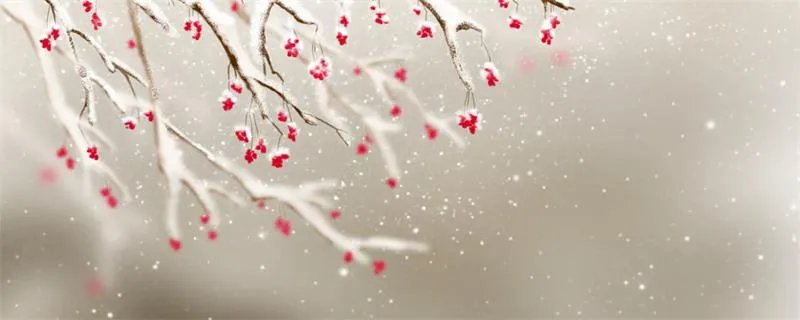 遥知不是雪为有暗香来的意思是什么 遥知不是雪为有暗香来的诗意