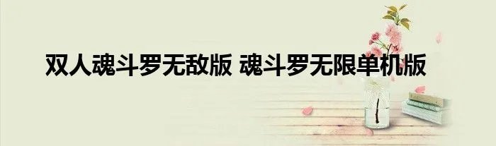 双人魂斗罗无敌版 魂斗罗无限单机版