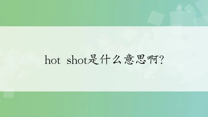 hot shot是什么意思啊？