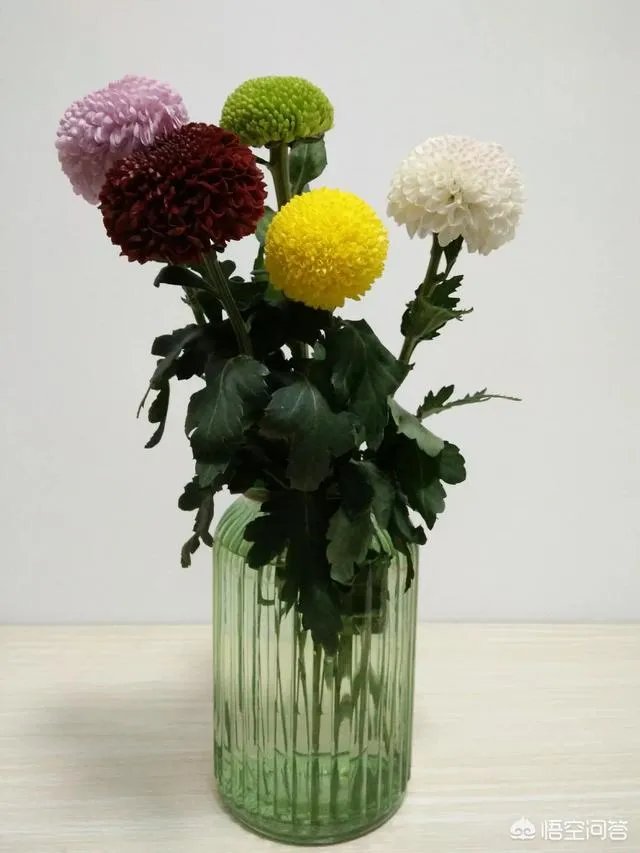 云南有哪些大的鲜花市场？