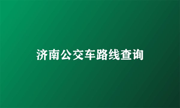 济南公交车路线查询