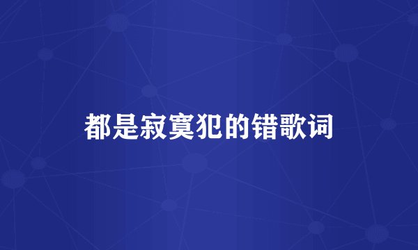 都是寂寞犯的错歌词