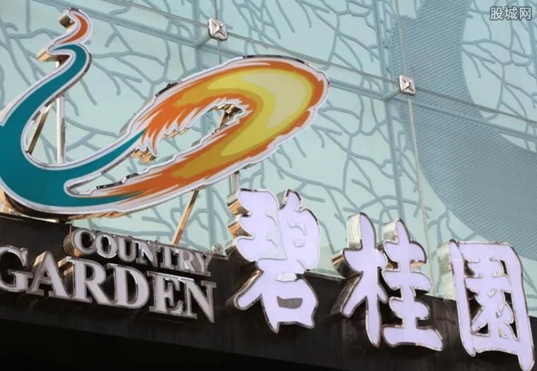 杨惠妍结过几次婚 杨惠妍老公身份曝光