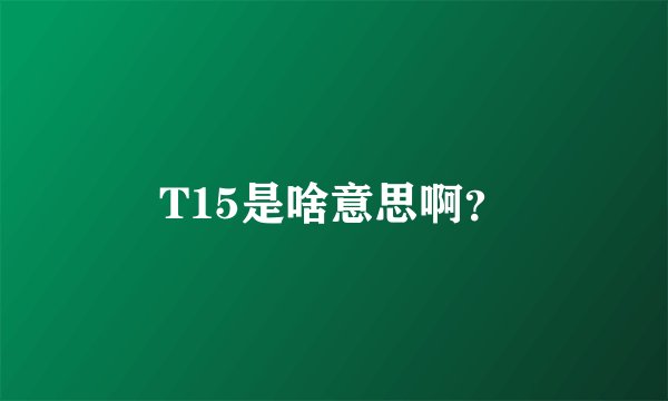 T15是啥意思啊？